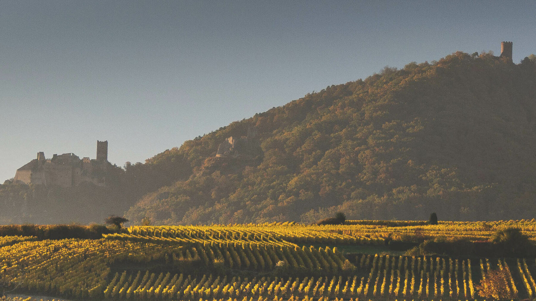 Design de logo et conseils pour la Ville de Ribeauvillé