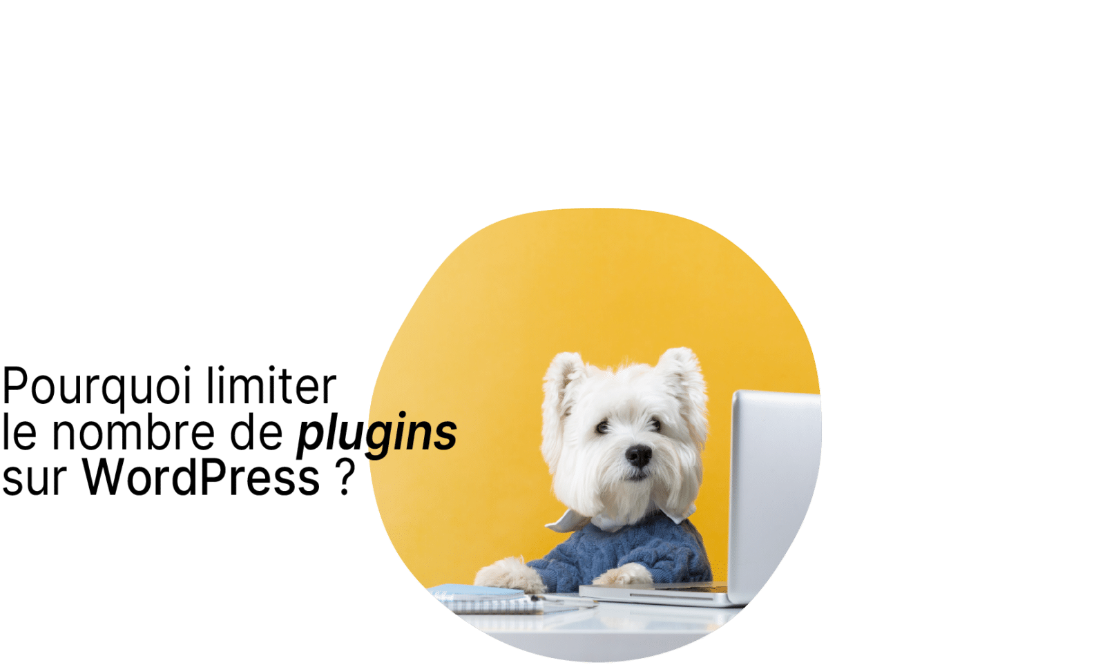 Limiter le nombre de plugins WordPress