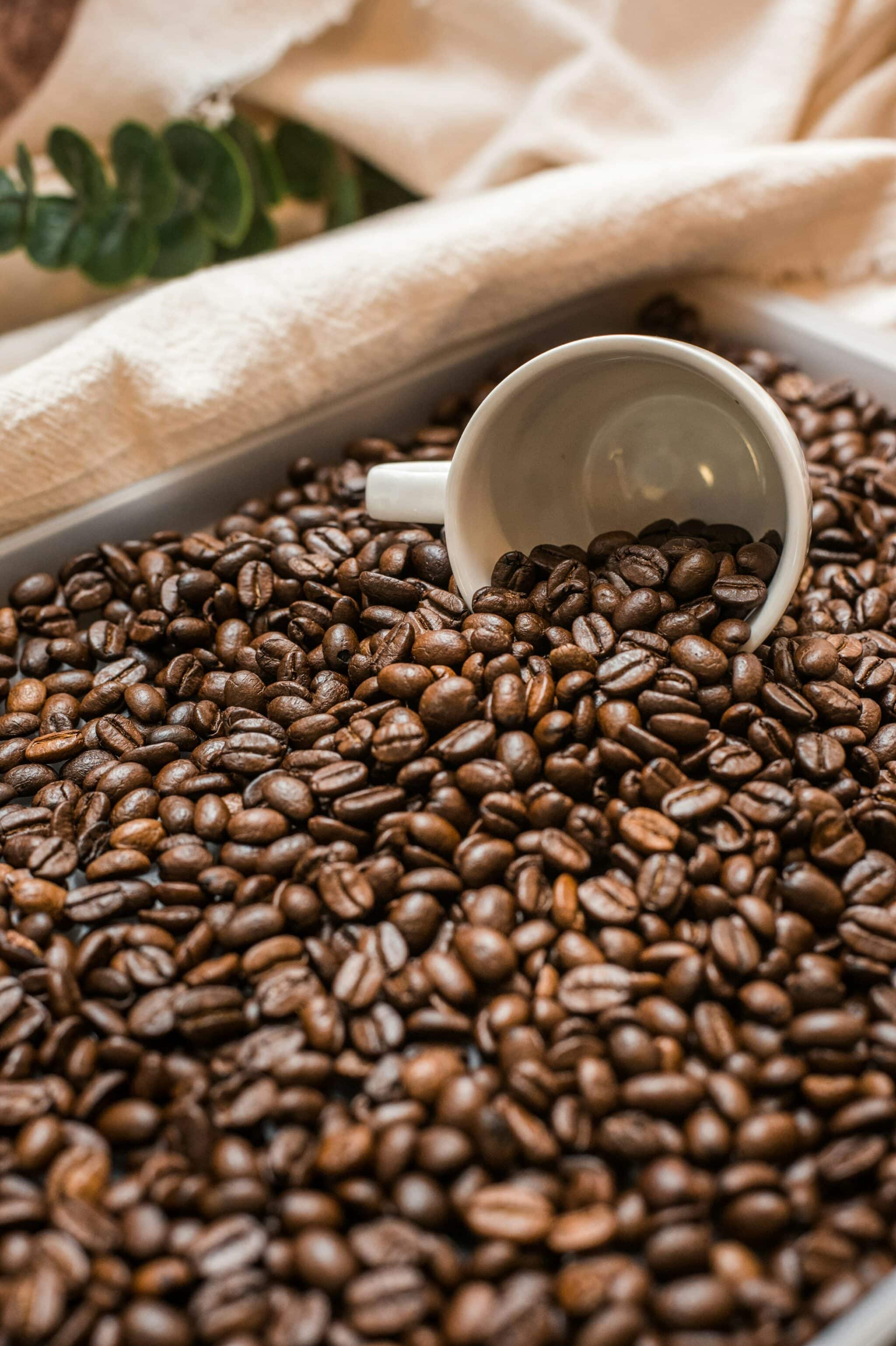 Café