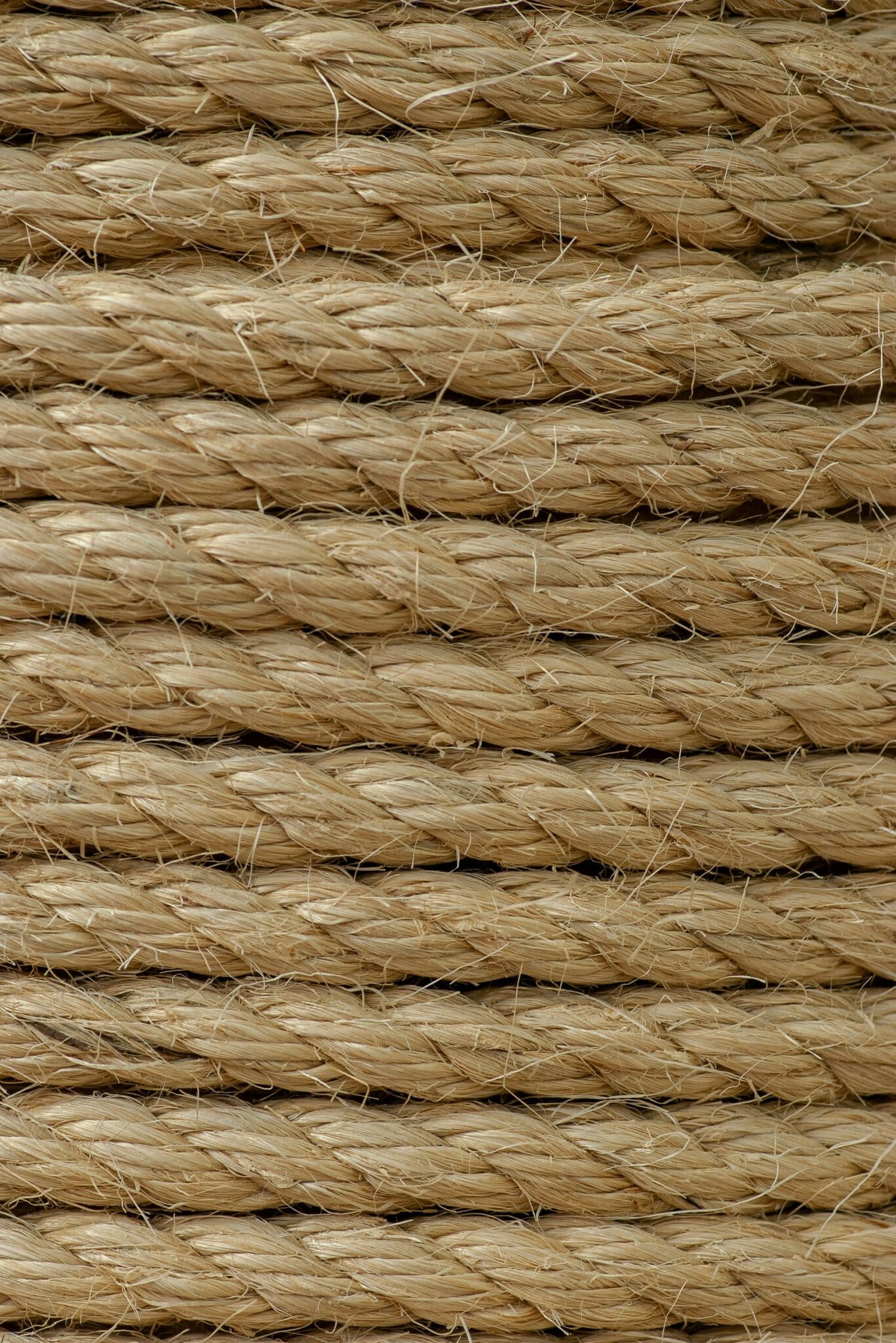 Corde